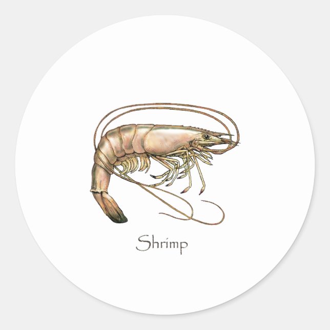 Southern Shrimp Art Logo Runder Aufkleber (Vorderseite)