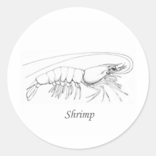 Southern Shrimp Line Art Logo Runder Aufkleber