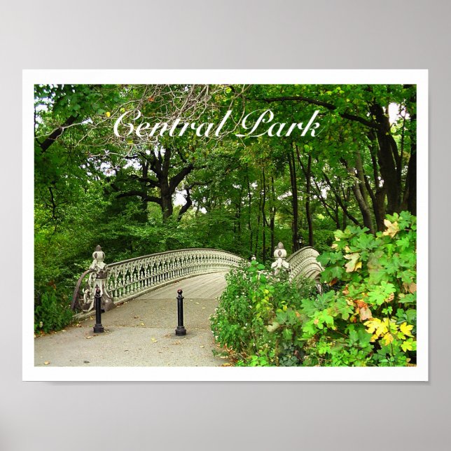 Southwest Reservoir Bridge Central Park, NYC Poster (Vorne)