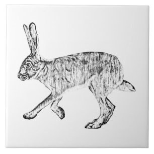 Southwestern Jackrabbit Pen und Ink Art Fliese
