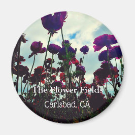 Souvenir Magnet: Die Blume Fields in Carlsbad, CA Magnet