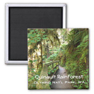 Souvenir Magnet - Regenwald in Quinault, Olympisch
