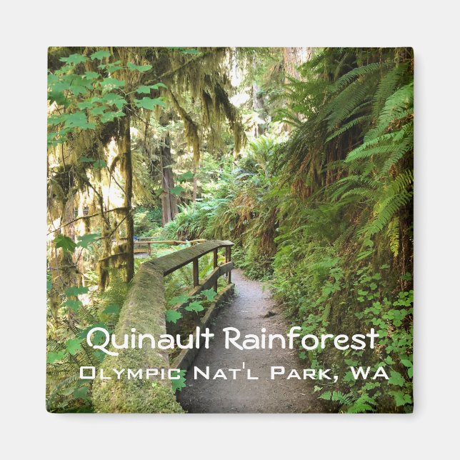 Souvenir Magnet - Regenwald in Quinault, Olympisch (Vorne)
