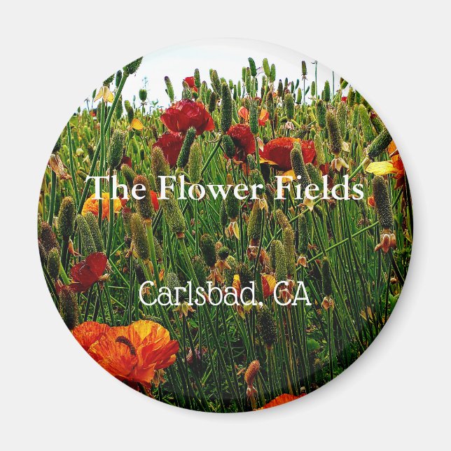 Souvenir Magnet, The Blume Field, Carlsbad, CA. Magnet (Vorne)