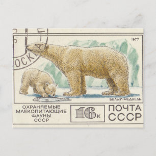 Sowjetische Briefmarke Eisbär Postkarte