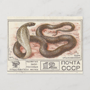 Sowjetische Briefmarke Zentralasiatische Kobra Postkarte