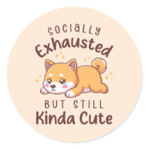 Sozial erschöpft, aber immer noch süß - Shiba Inu
