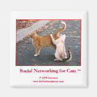 Soziale Vernetzung für das Cats Magnet