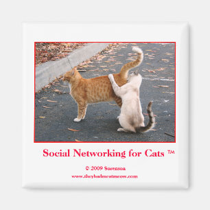 Sozialvernetzung für Katzen-Magneten Magnet