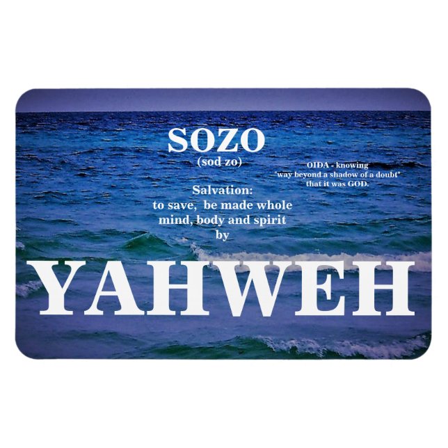 SOZO MAGNET (Horizontal)