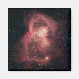 Space Butterfly Nebel Magnet