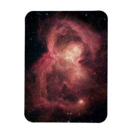 Space Butterfly Nebel Magnet