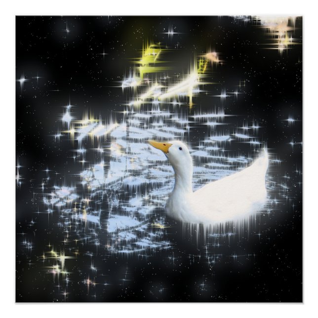 Space Duck - Poster (Vorderseite)
