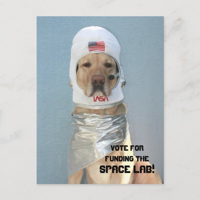Space Labrador Postkarte (Vorderseite)