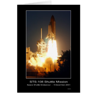 Space Shuttle Endeavour Lift-off S.. - Individuell