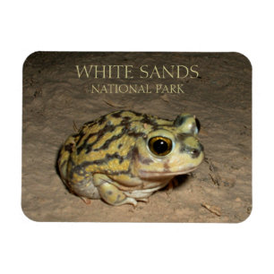 Spadefoot Toad, Nationalpark des weißen Sandes Magnet