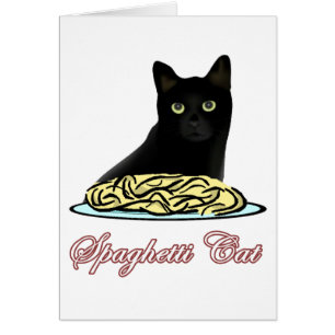 Spagehetti Katzen-Beredsamkeit