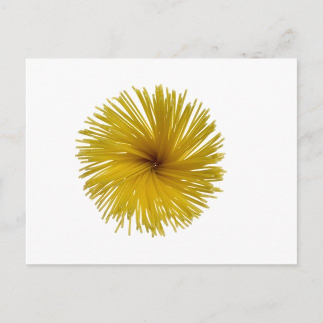 Spaghetti-Blume Postkarte (Vorderseite)