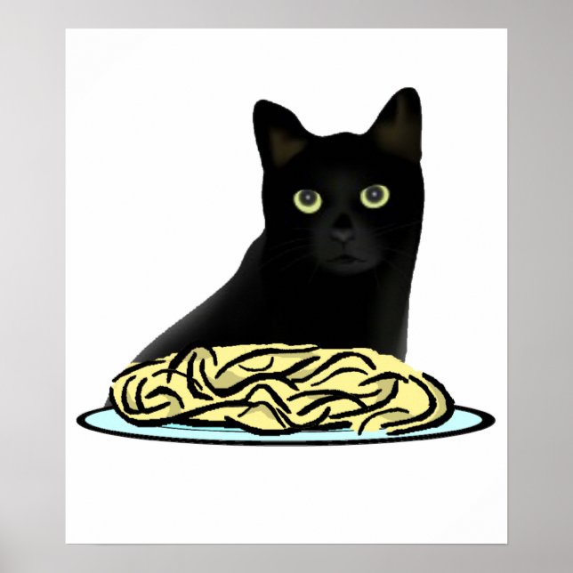 Spaghetti Cat Poster (Vorne)