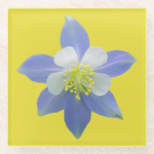 Spalte 2 glasuntersetzer