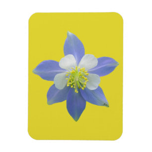 Spalte 2 magnet