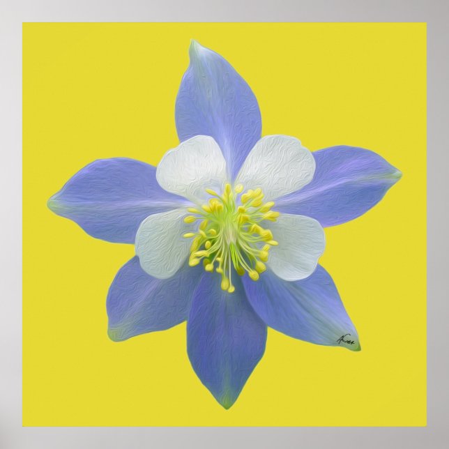 Spalte 2 poster (Vorne)