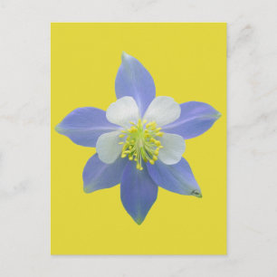 Spalte 2 postkarte