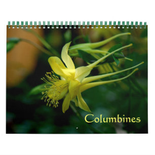 Spalten Kalender