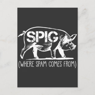 Spam Mail Mitarbeiter Spig Pig E-Mail Müllordner Postkarte