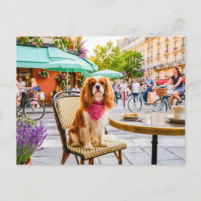 Spaniel city outing at outdoor café postkarte (Vorderseite)