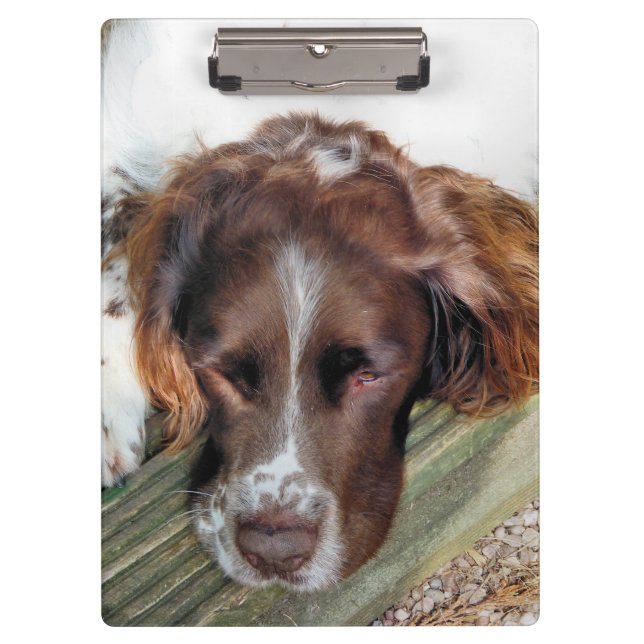SPANIEL DOG KLEMMBRETT (Vorderseite)
