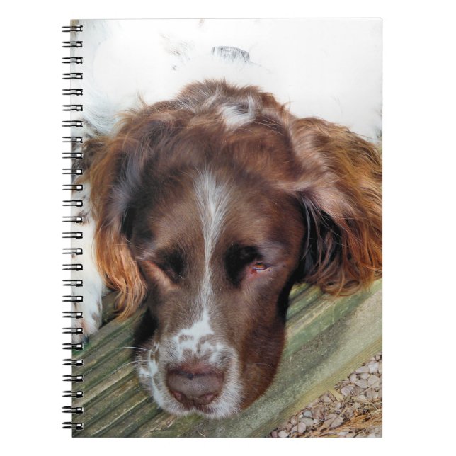 SPANIEL DOG NOTIZBLOCK (Vorderseite)