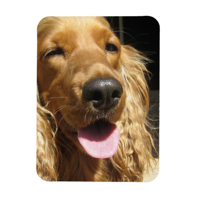Spaniel Dog Premium Magnet (Vertikal)