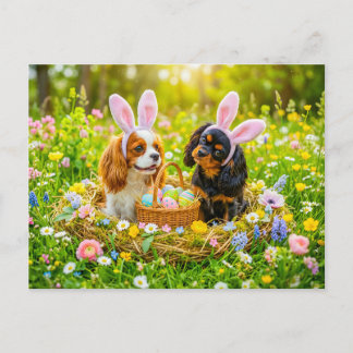 Spaniel duo in easter nest meadow postkarte