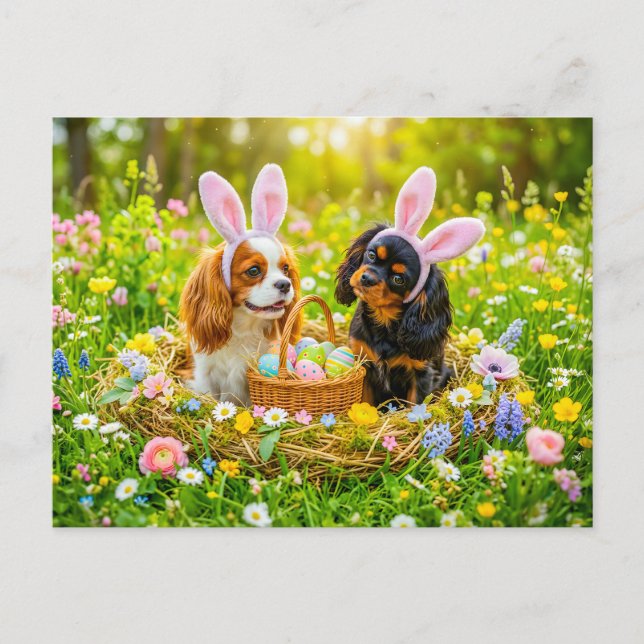 Spaniel duo in easter nest meadow postkarte (Vorderseite)
