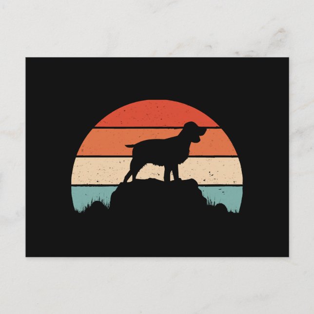 Spaniel English springer Postkarte (Vorderseite)