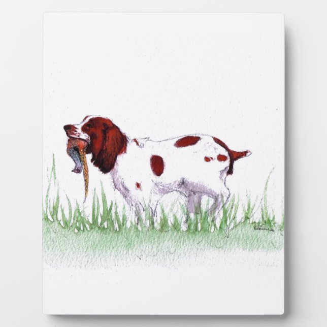 Spaniel Fotoplatte (Vorderseite)