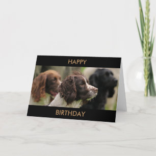 Spaniel-Gruß-Karte Karte