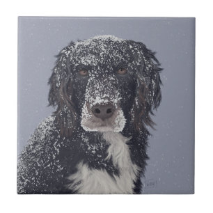 Spaniel-Hund-Mischlings-Tierporträt Fliese