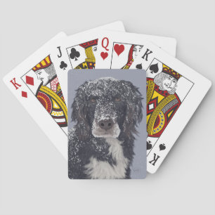 Spaniel-Hund-Mischlings-Tierporträt Spielkarten