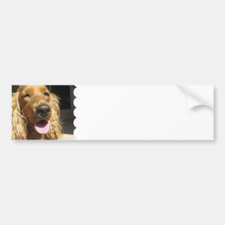 Spaniel-HundeAutoaufkleber Autoaufkleber