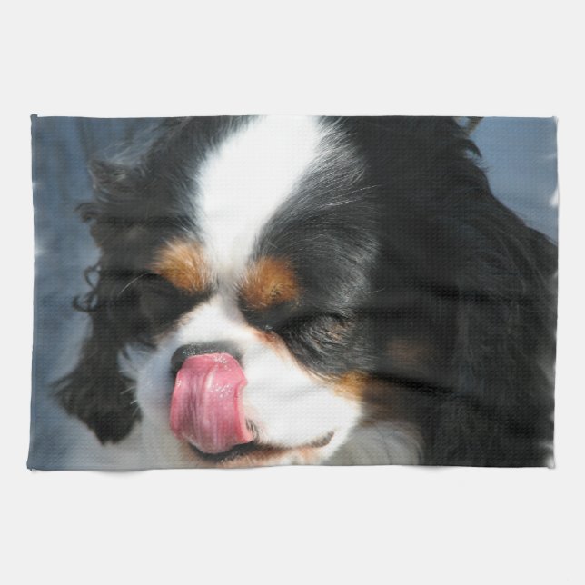 Spaniel-HundeGeschirrtuch Küchentuch (Horizontal)