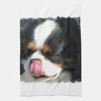 Spaniel-HundeGeschirrtuch Küchentuch
