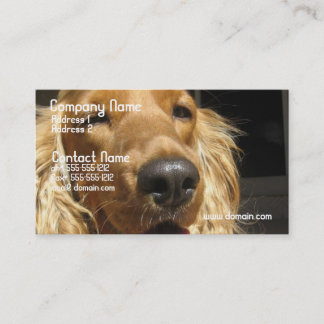 Spaniel-HundeVisitenkarte Visitenkarte