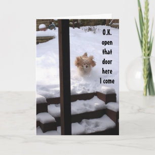 SPANIEL IST BEREIT ZU SAGEN ***GLÜCKLICHER GEBURTS KARTE