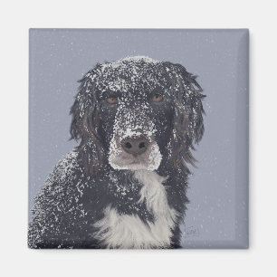 Spaniel-Mischlings-Haustierporträt Magnet