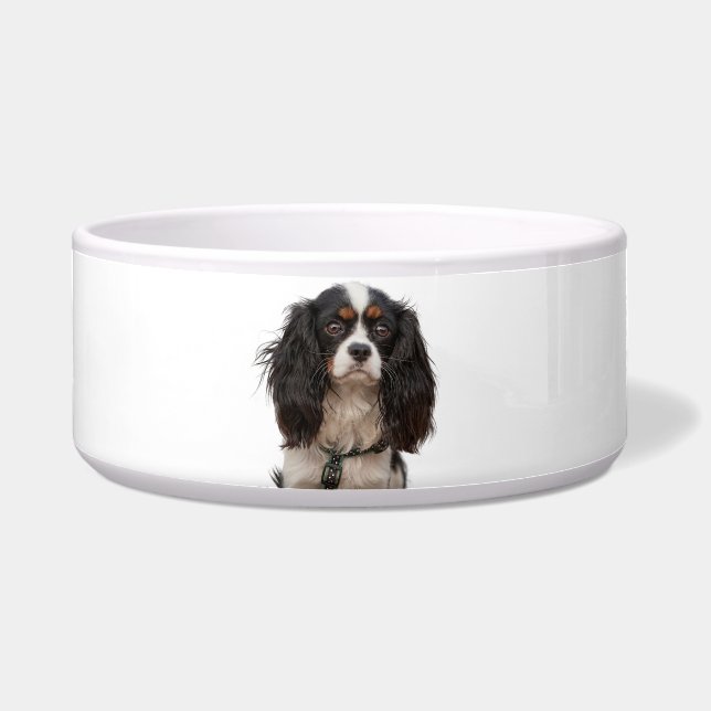SPANIEL NAPF (Vorderseite)