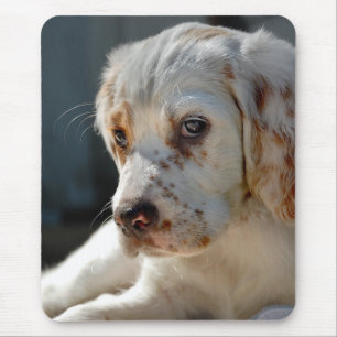 Spaniel Puppy Dog Mousepad