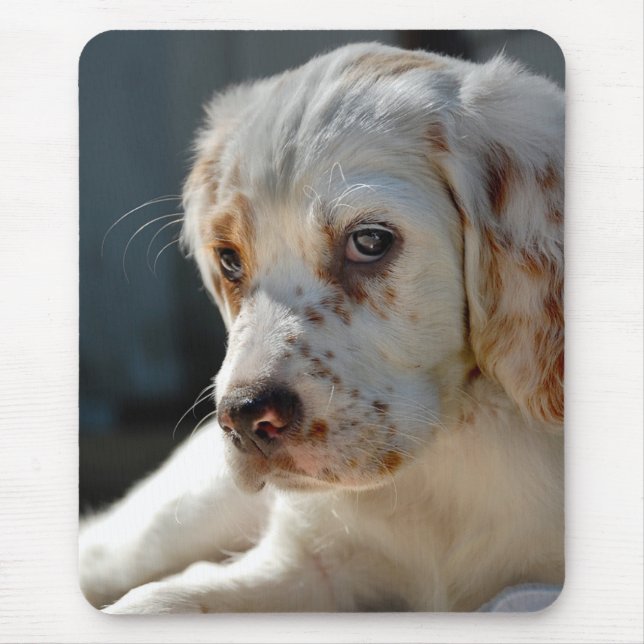 Spaniel Puppy Dog Mousepad (Vorne)