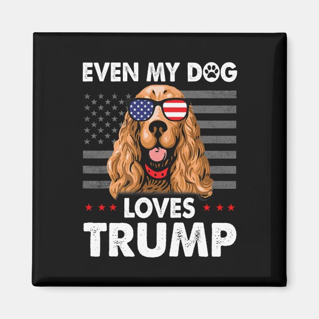 Spaniel sogar mein Hund Lieben Trump Funny Magnet (Vorne)